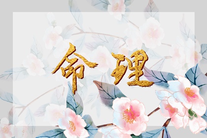 今日万年历宜忌查询 万年历查询2026年日历 万年历完整版